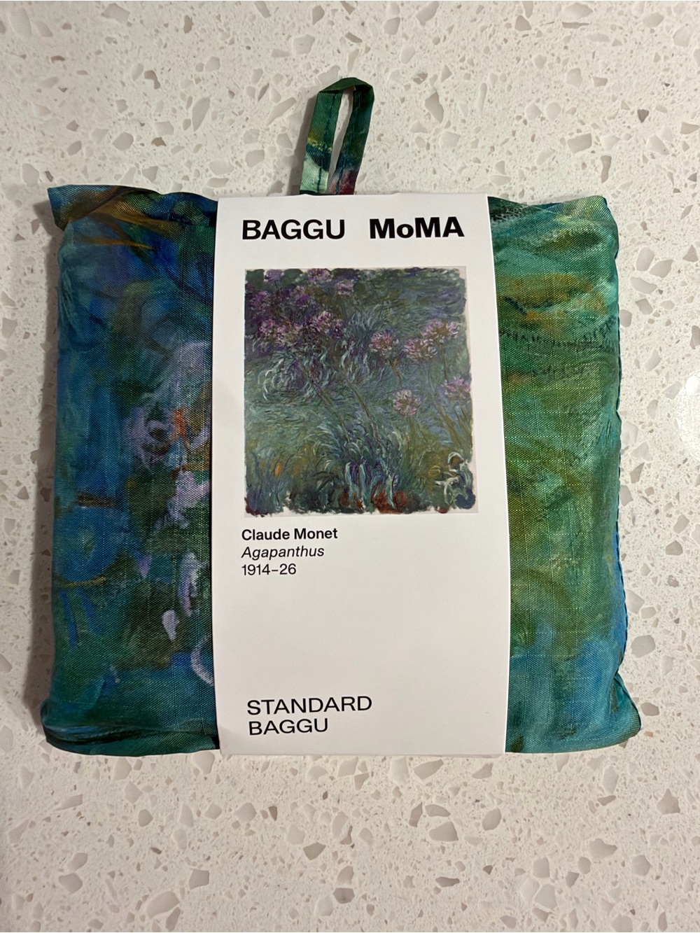 BAGGU MoMA Claude Monet Agapanthus Wall Tapestry in Teal and Green
